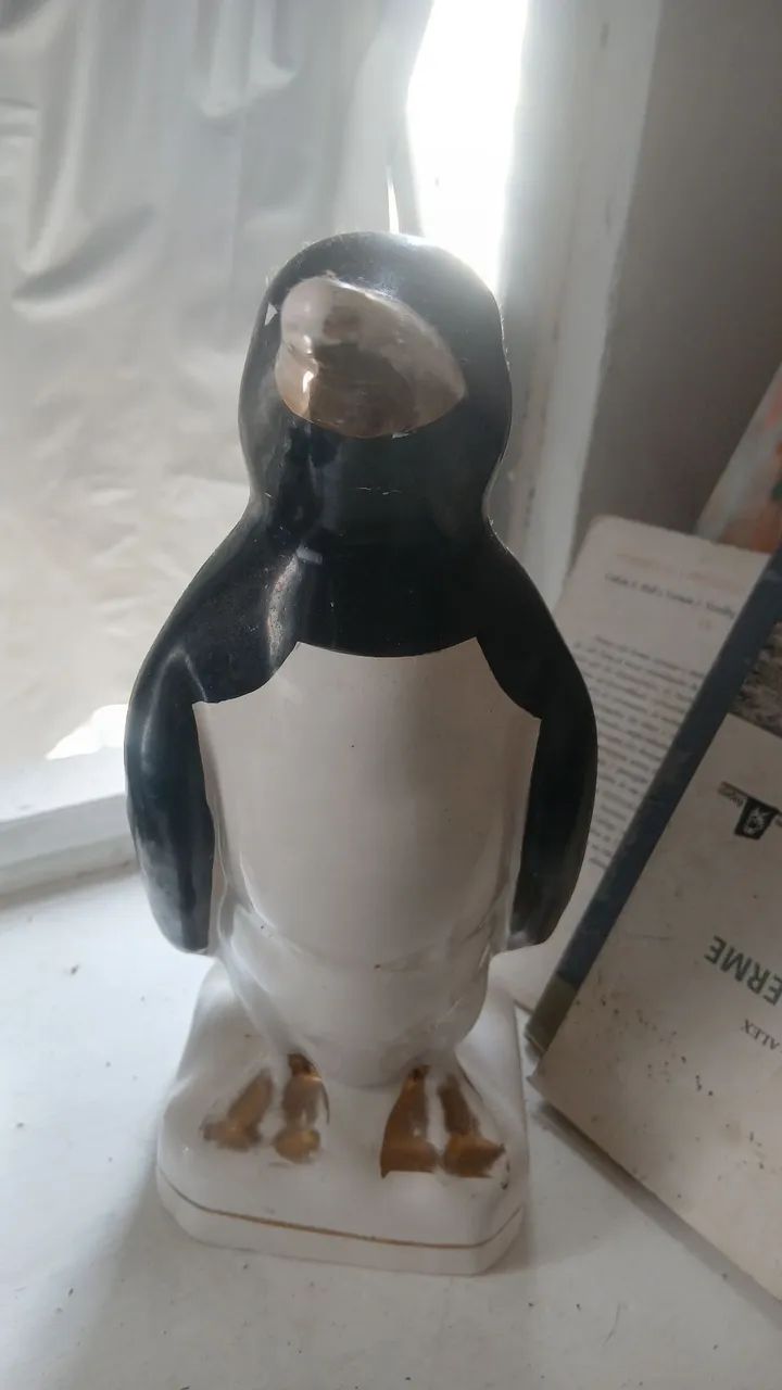 Lote de pinguins - Foto 4