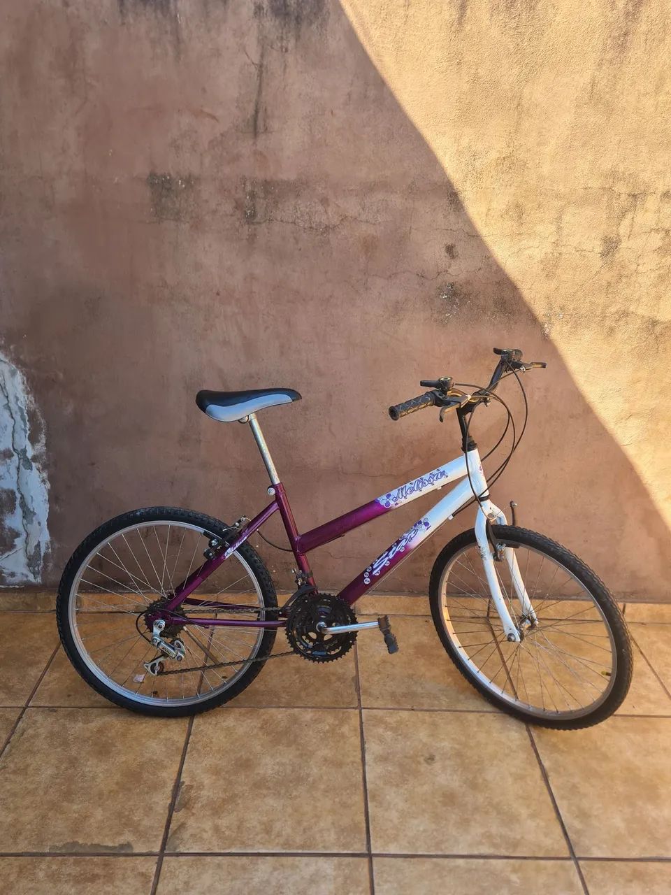 Bicicleta Feminina