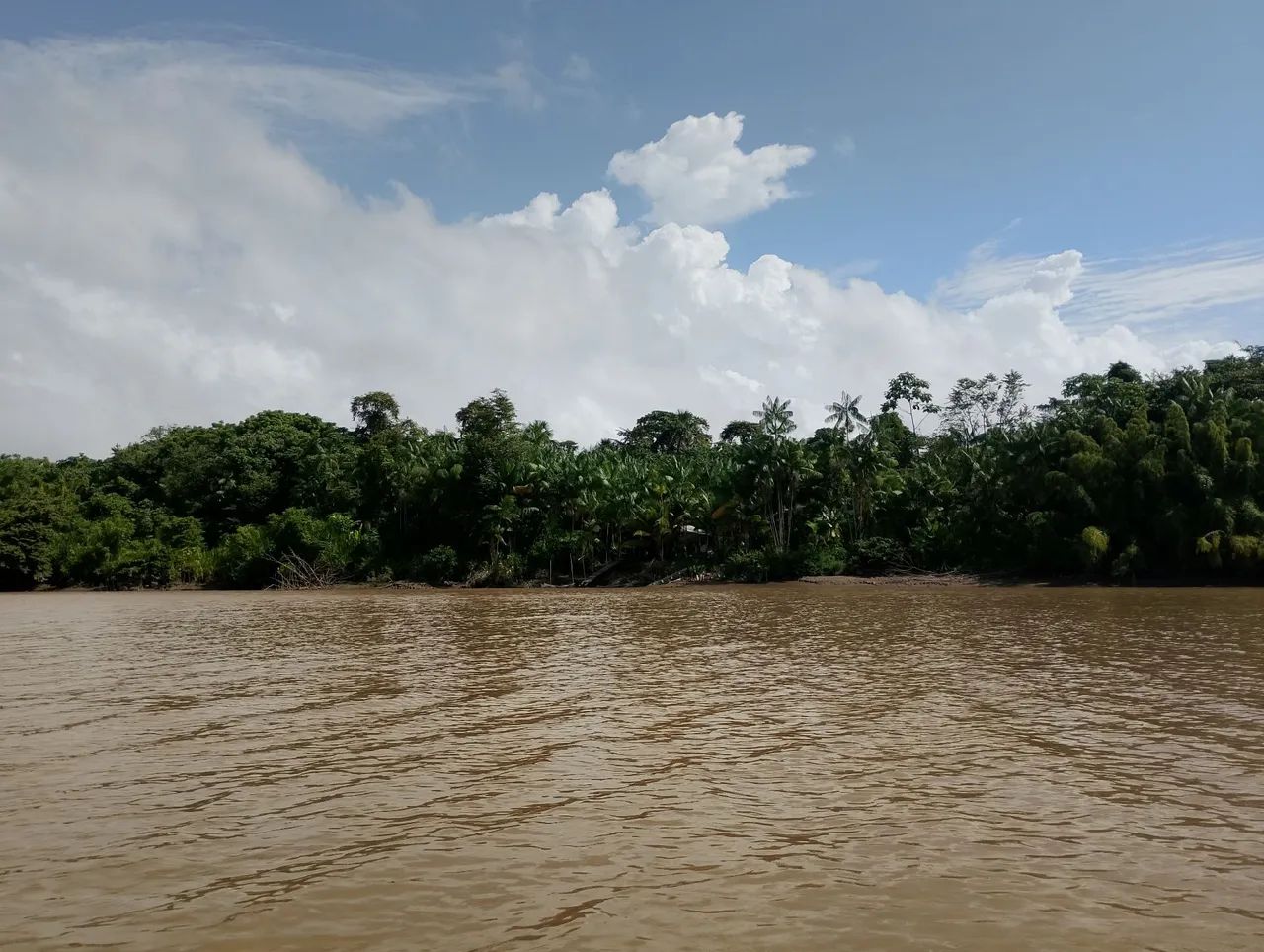 Vendo terreno  - Foto 3