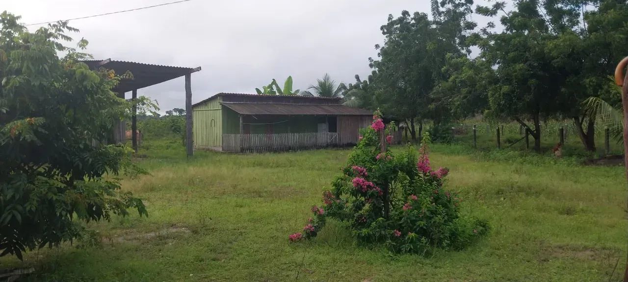 KBC-" VENDO FAZENDA 128 ALQUEIRES  RIO DENTRO  PECUÁRIA  REGIÃO MARABÁ / TRANSAMAZÔNICA - Foto 7