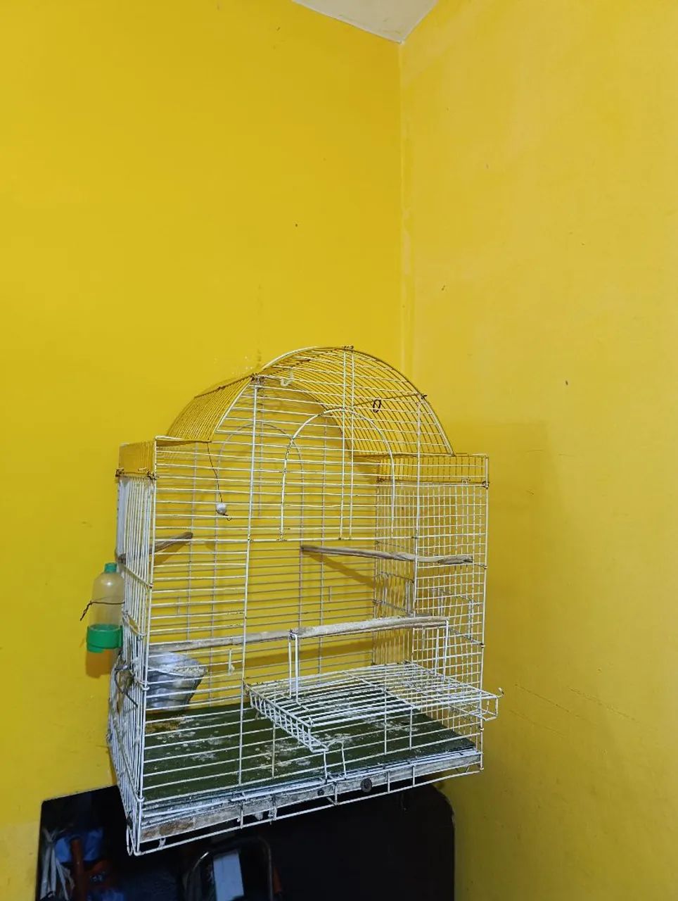Gaiola de calopsita  - Foto 4