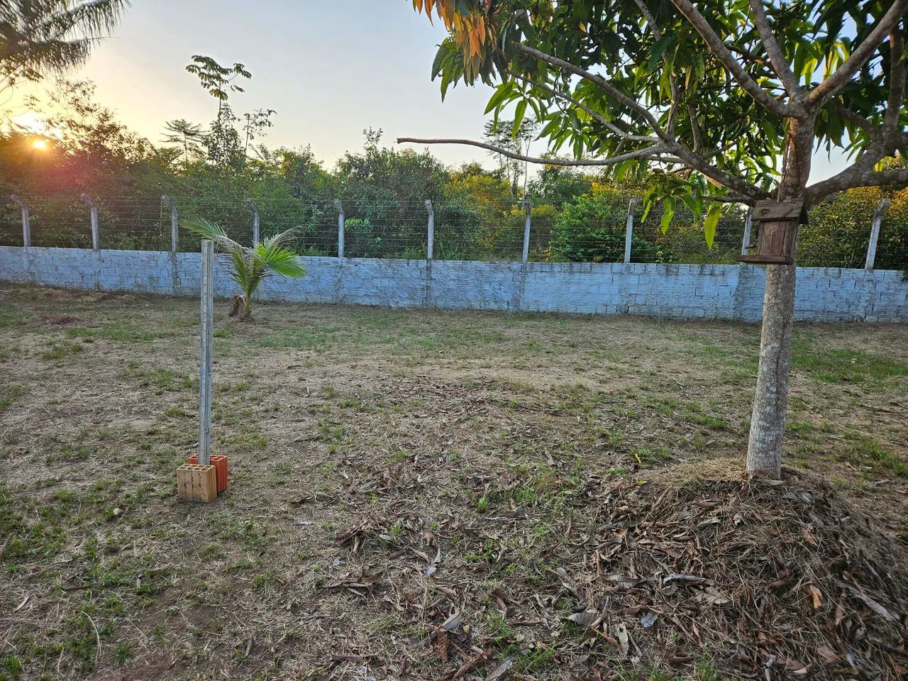 Lote Chácaras Janauary 3