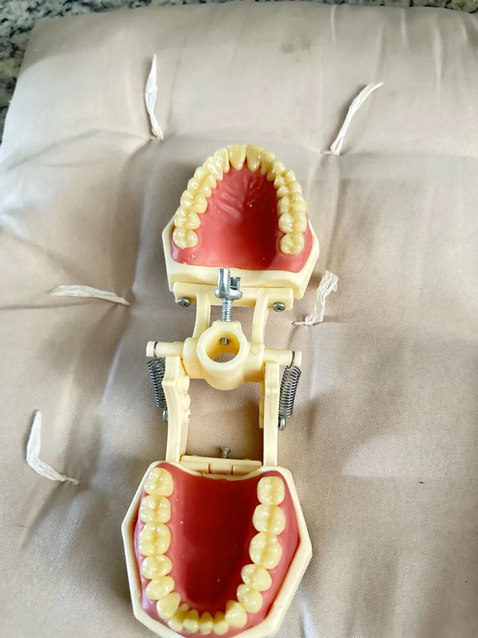 Manequim Odontológicos-Orais - Foto 3