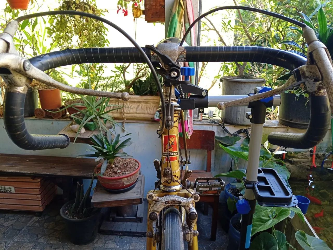 Bicicleta 'peugeot 10' antiga  - Foto 3