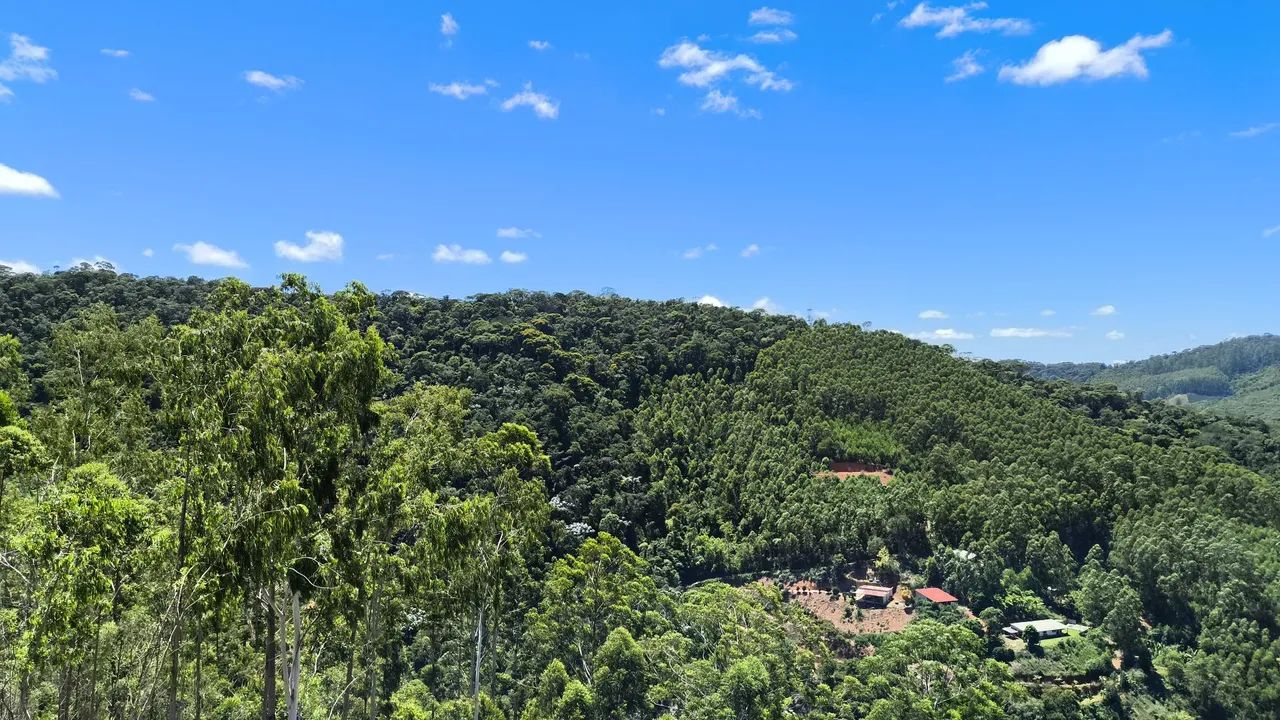 Terrenos (chácara) - Foto 3