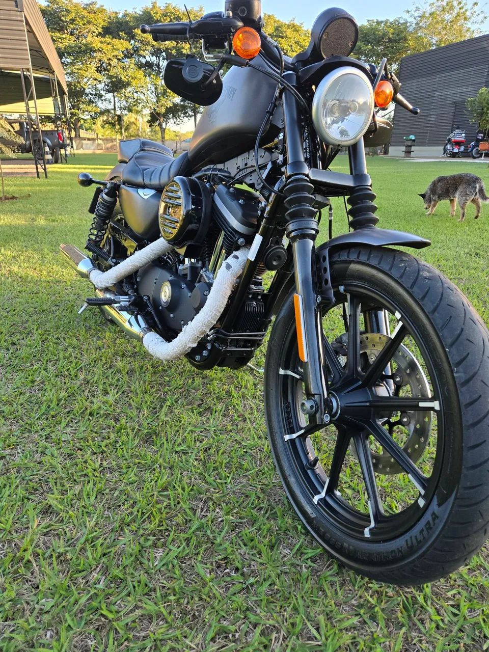 IRON 883 2017 - Foto 5