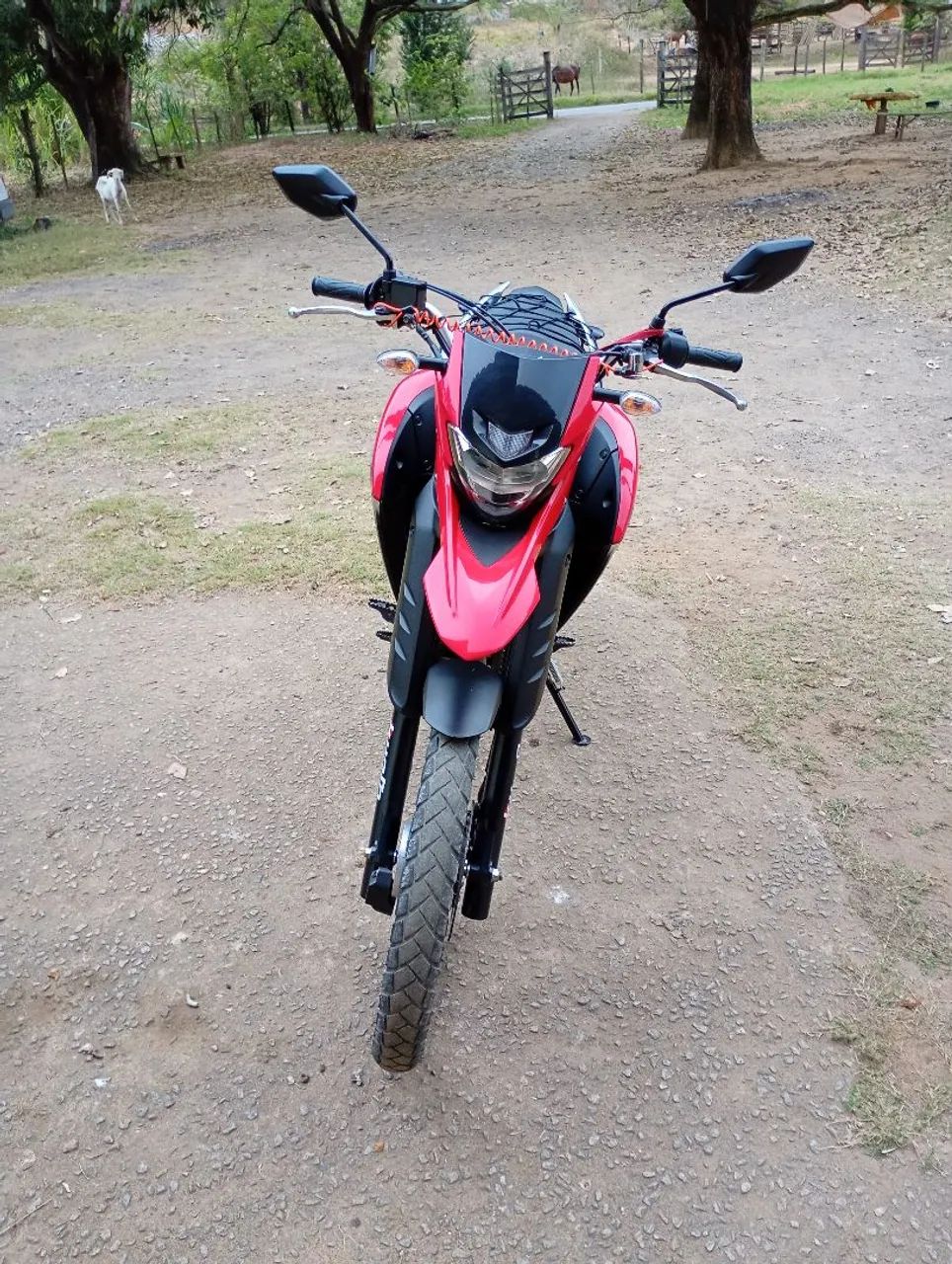 YAMAHA LANDER 250 - Foto 3