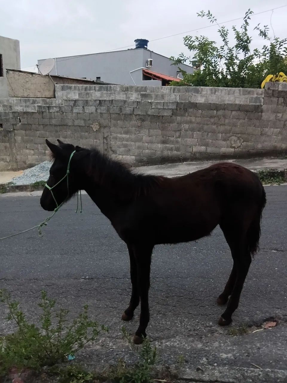 Vende-se 
