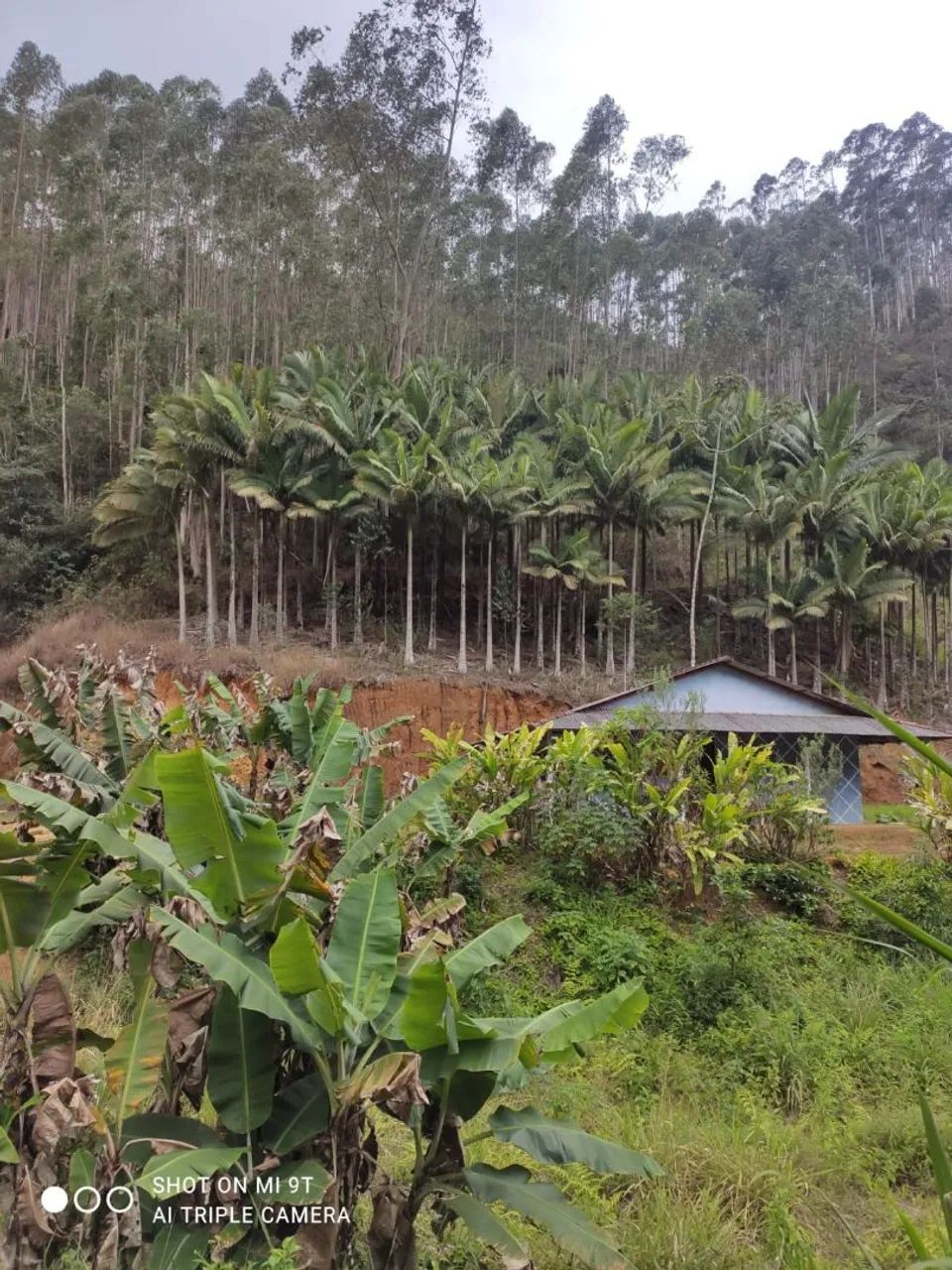 Chácara com nascente, escriturada! - Foto 3
