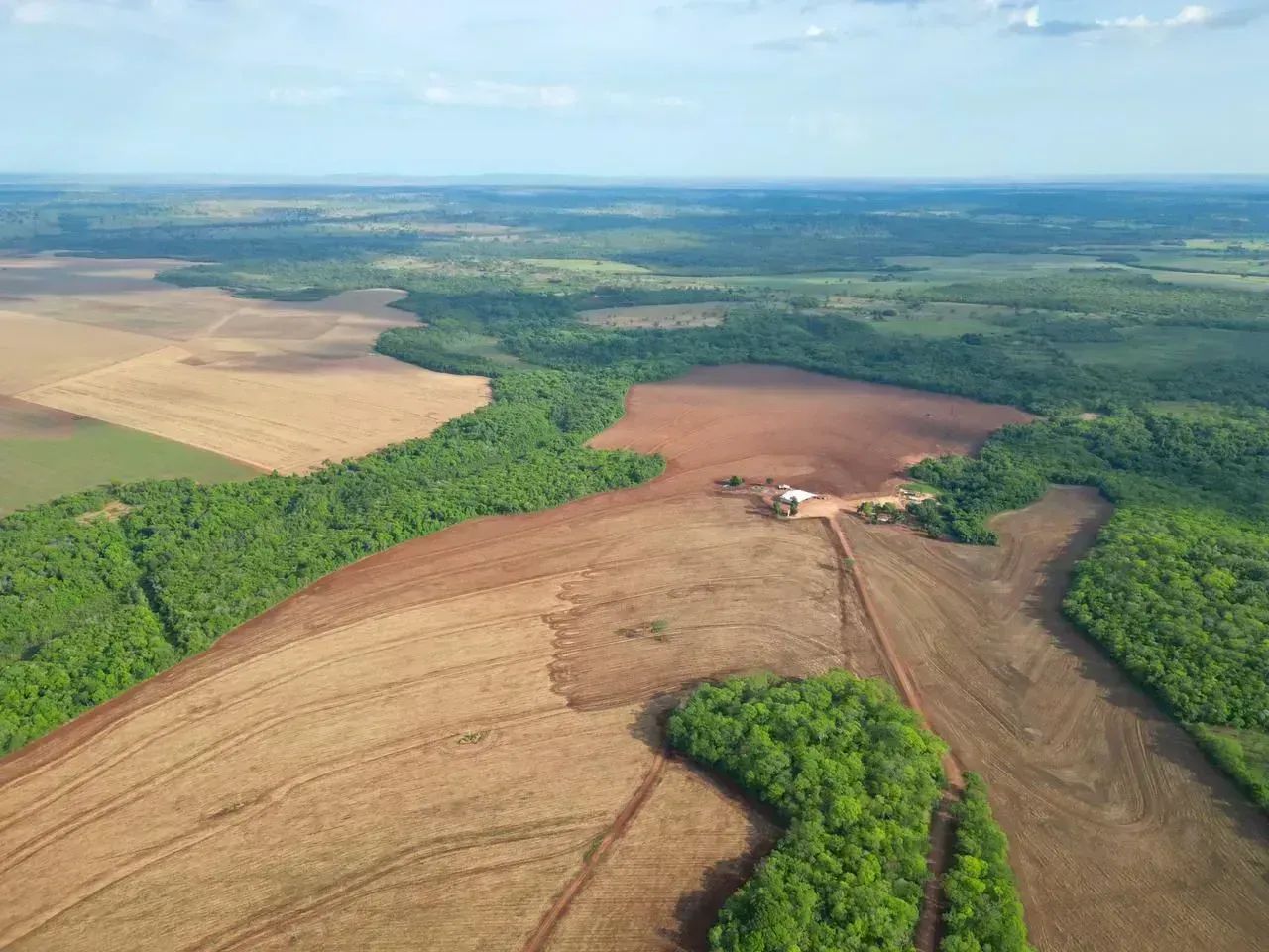 FAZENDA COM 230 HECTARES A VENDA EM ROCHEDO/MS