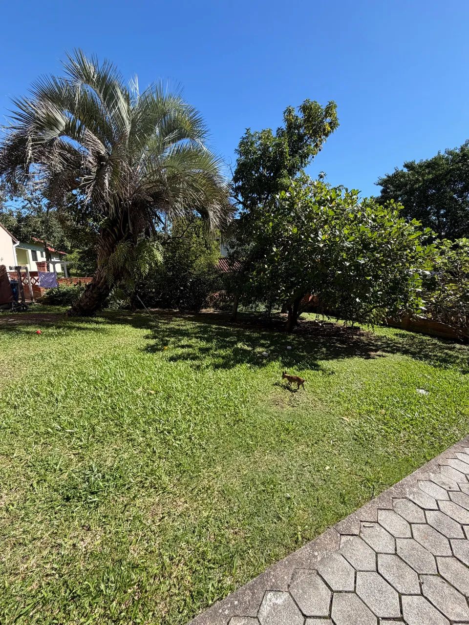 Locação Anual - Santo Antônio de Lisboa - Florianópolis/SC - Foto 3