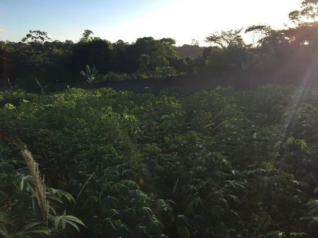Terreno 1.000m2 de 20x50 - Condomínio Recanto de Aldeia KM 12! - Foto 2
