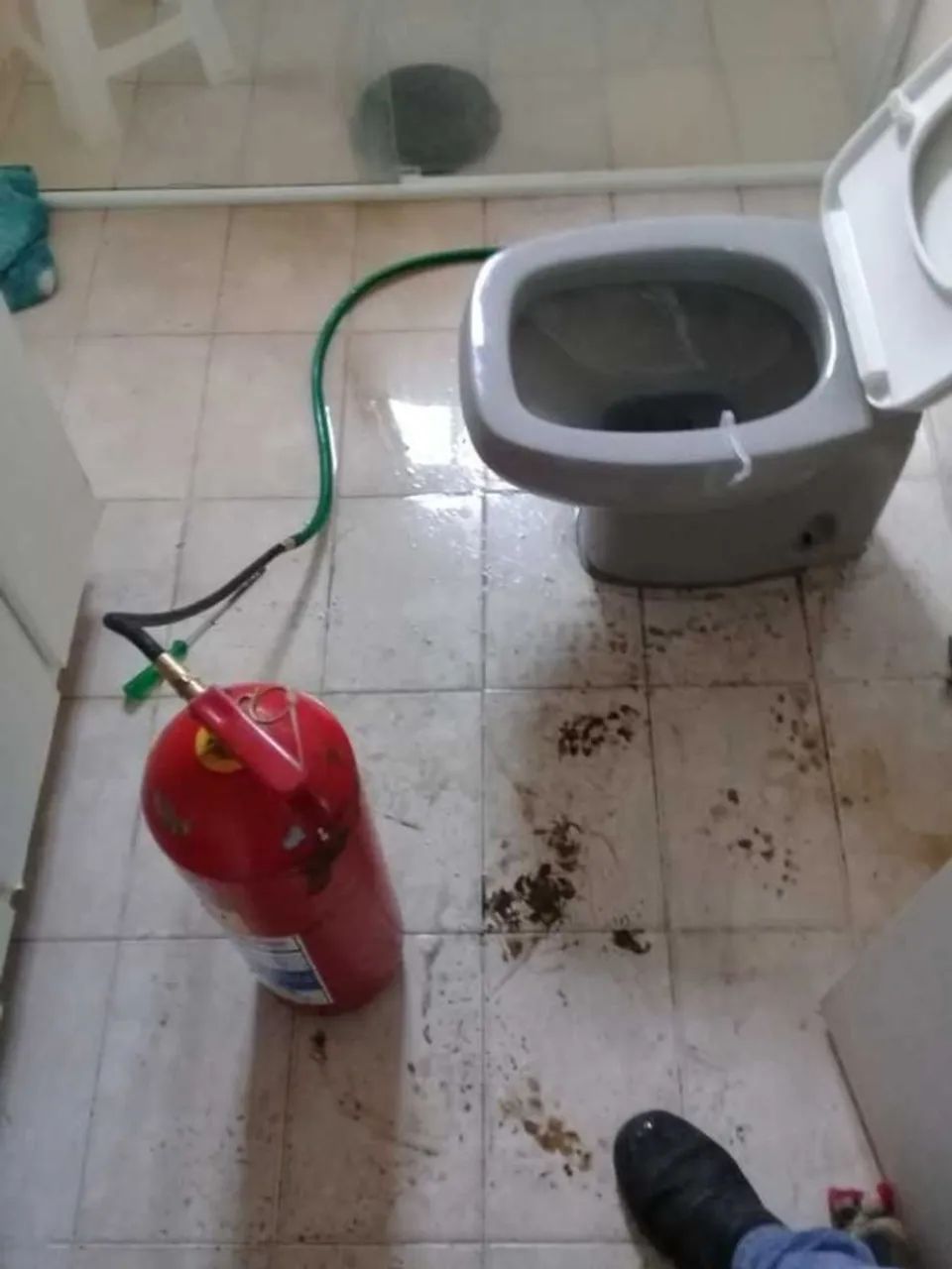 Desentupidora 24h em Campinas e Região - Foto 2