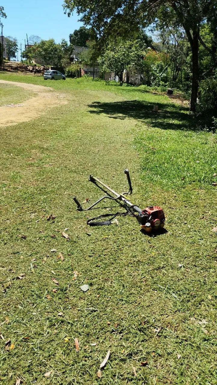 Jardinagem cara e boa clica - Foto 3