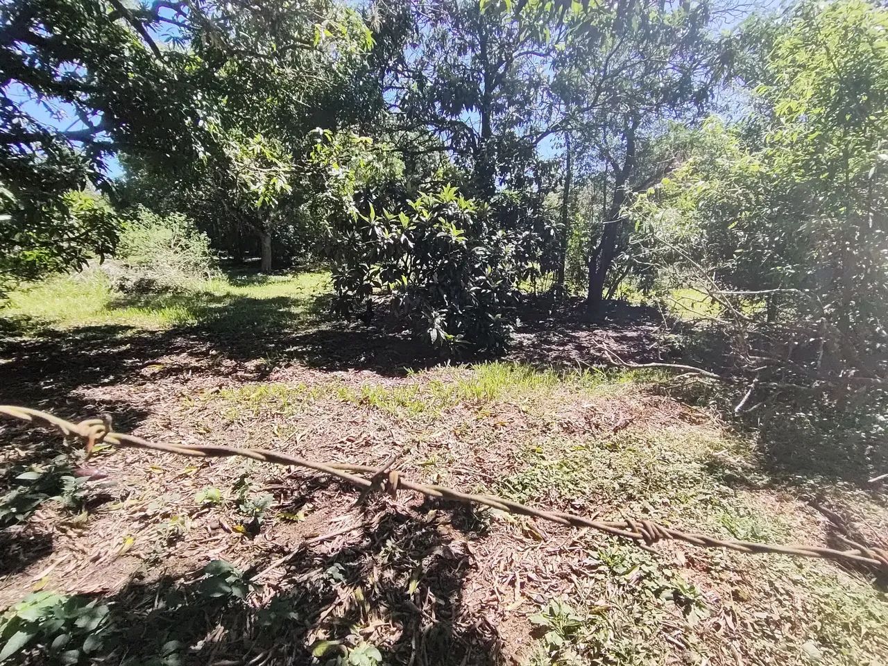 Terreno a venda condomínio Aquarius  - Foto 5