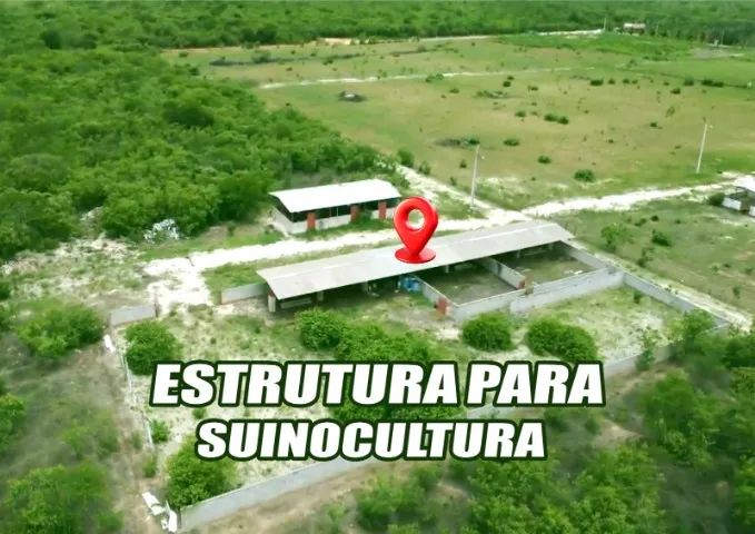 FAZENDA  SÃO FRANCISCO (CHAPADA DO APODI) - Foto 4