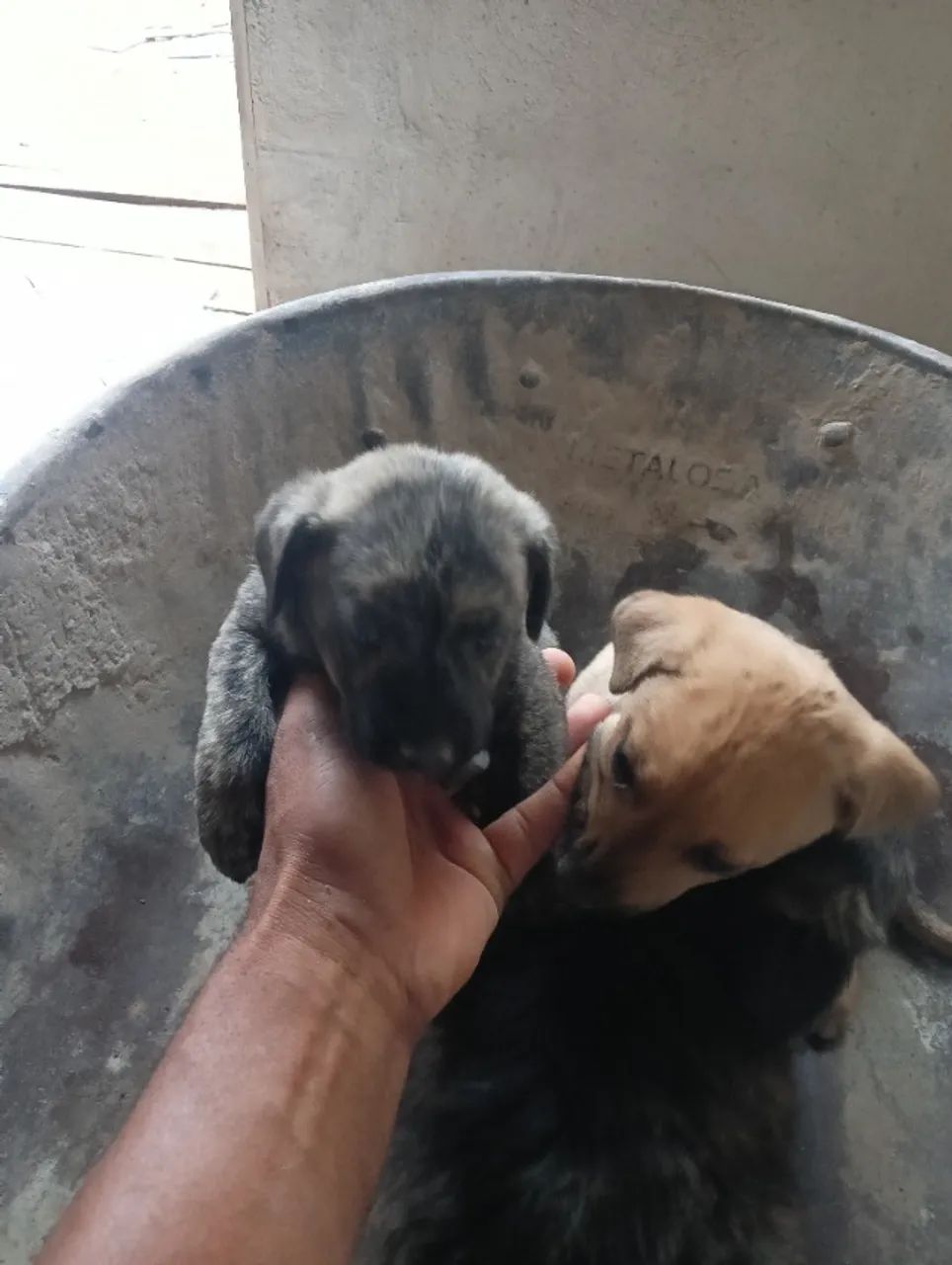 Doação