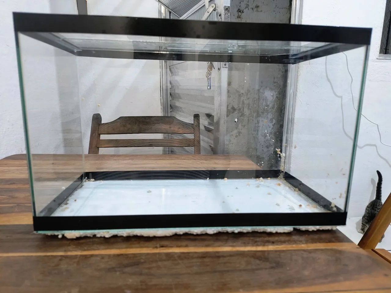 Acquario 30 litros - Foto 2