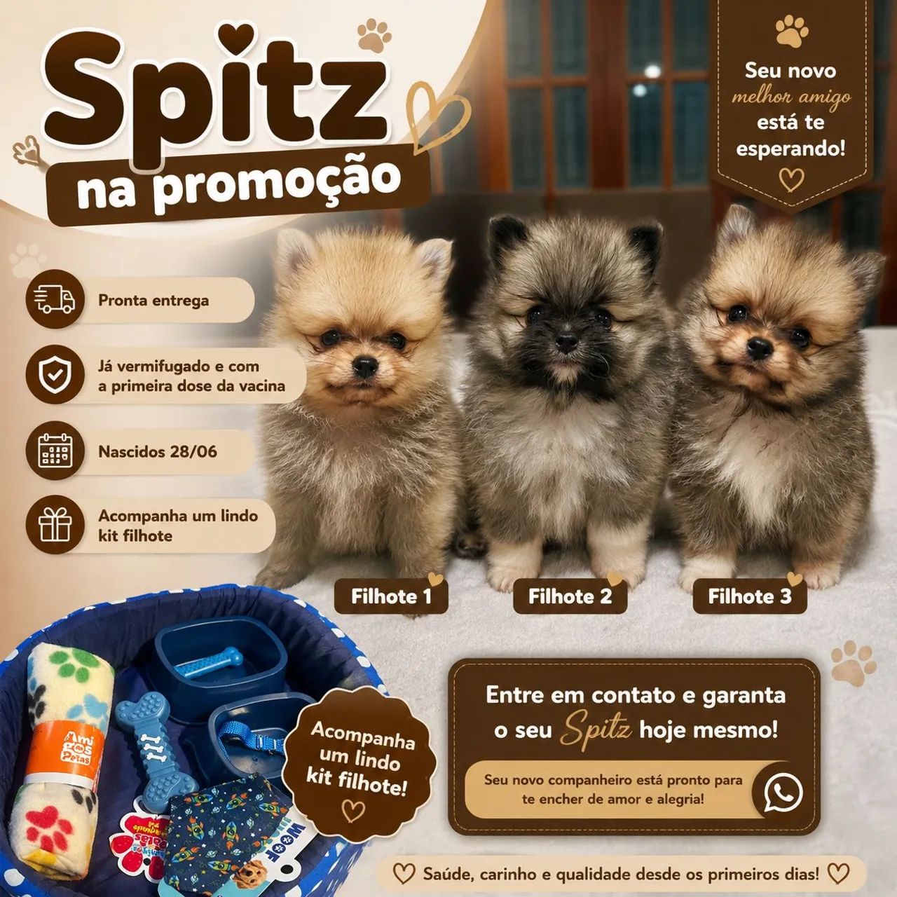 Spitz 