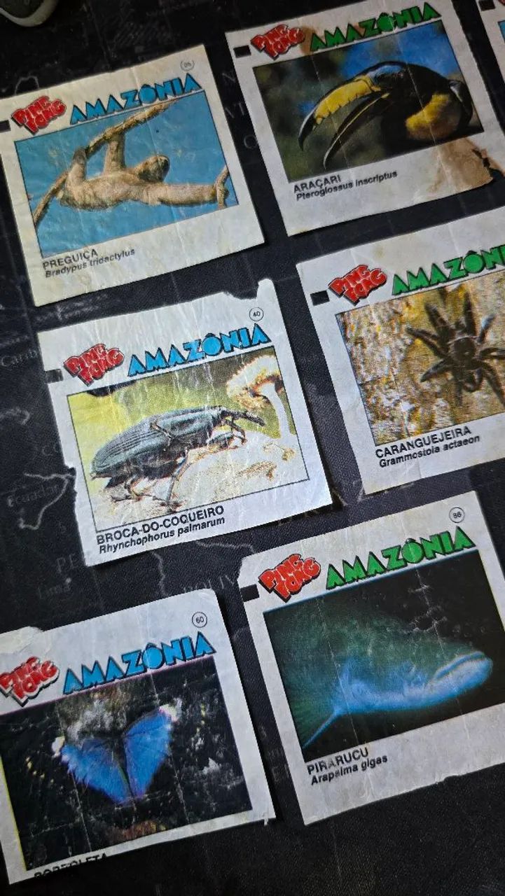 Lote c/ 10 figurinhas Ping Pong Amazônia (1991) - Foto 2