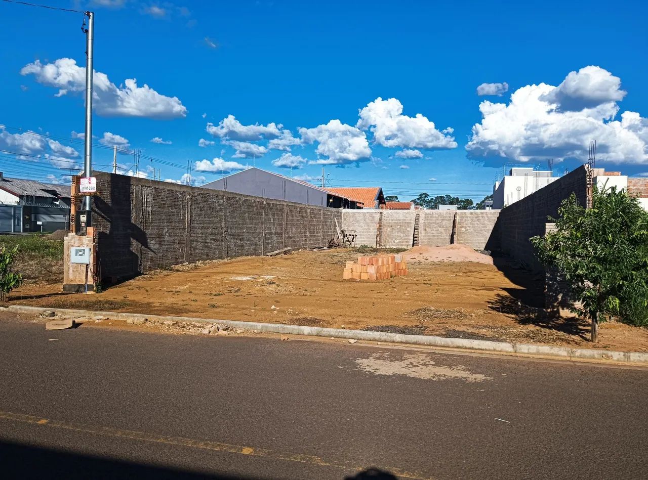 Lote figueiras do park 