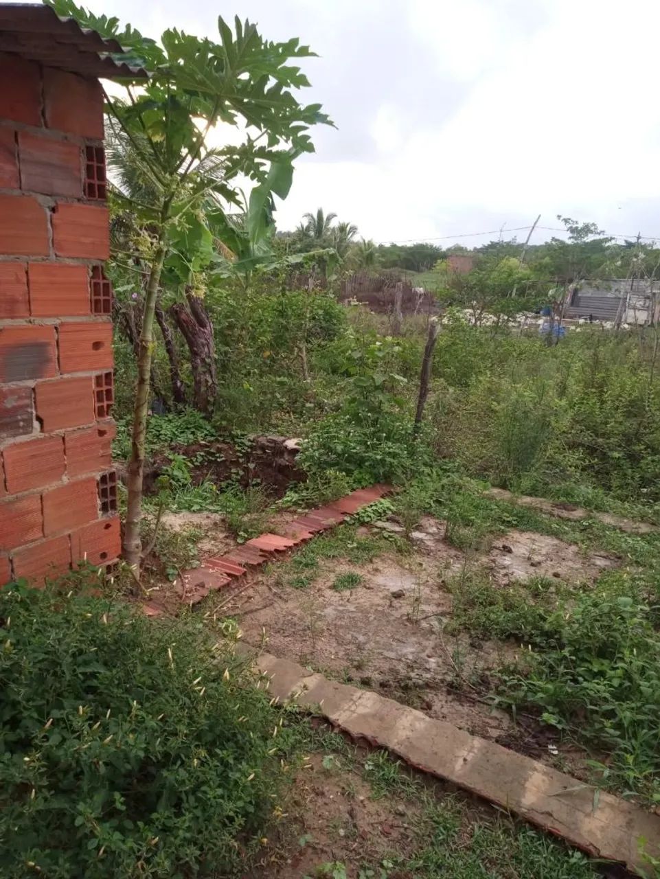 Casas e terrenos em Sergipe  - Foto 5