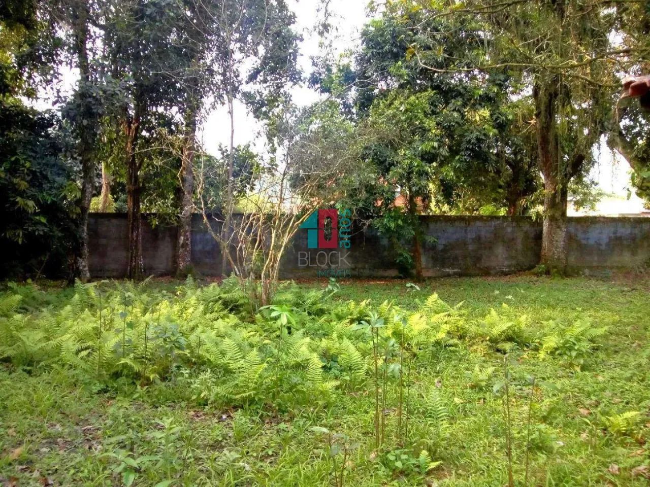 Campinho (Suruí) | Terreno - Foto 3