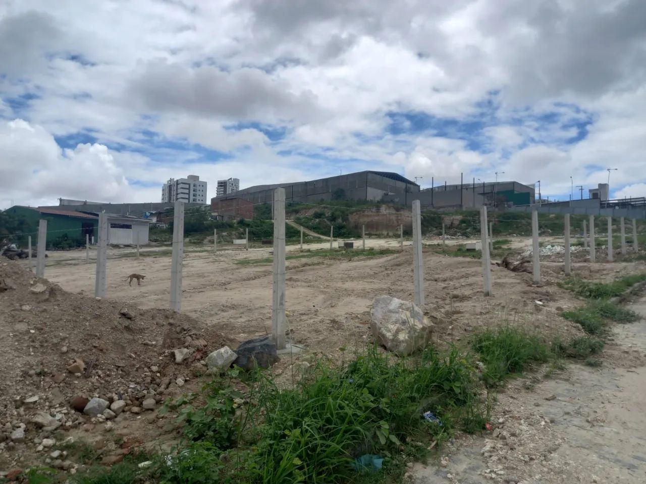 Terreno 