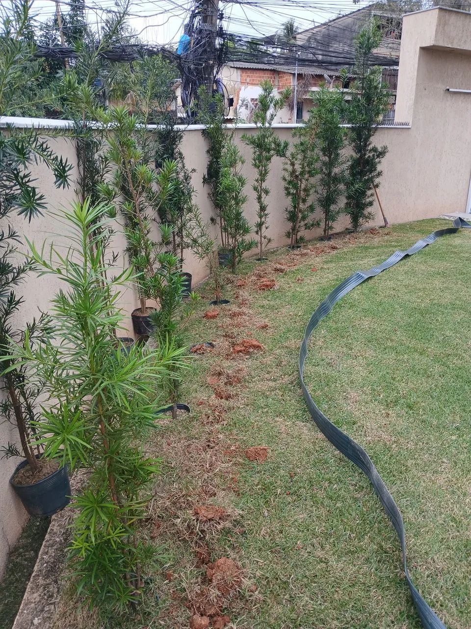 Jardinagem e paisagismo  - Foto 4