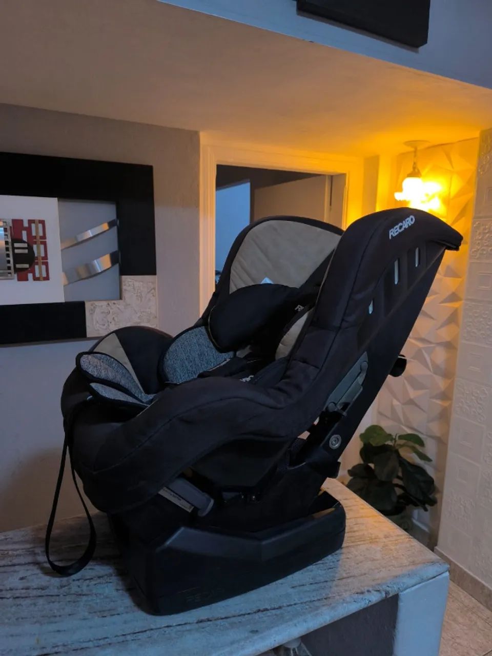 Cadeira veicular Infantil Recaro USA, 0 a 25kg, Isofix