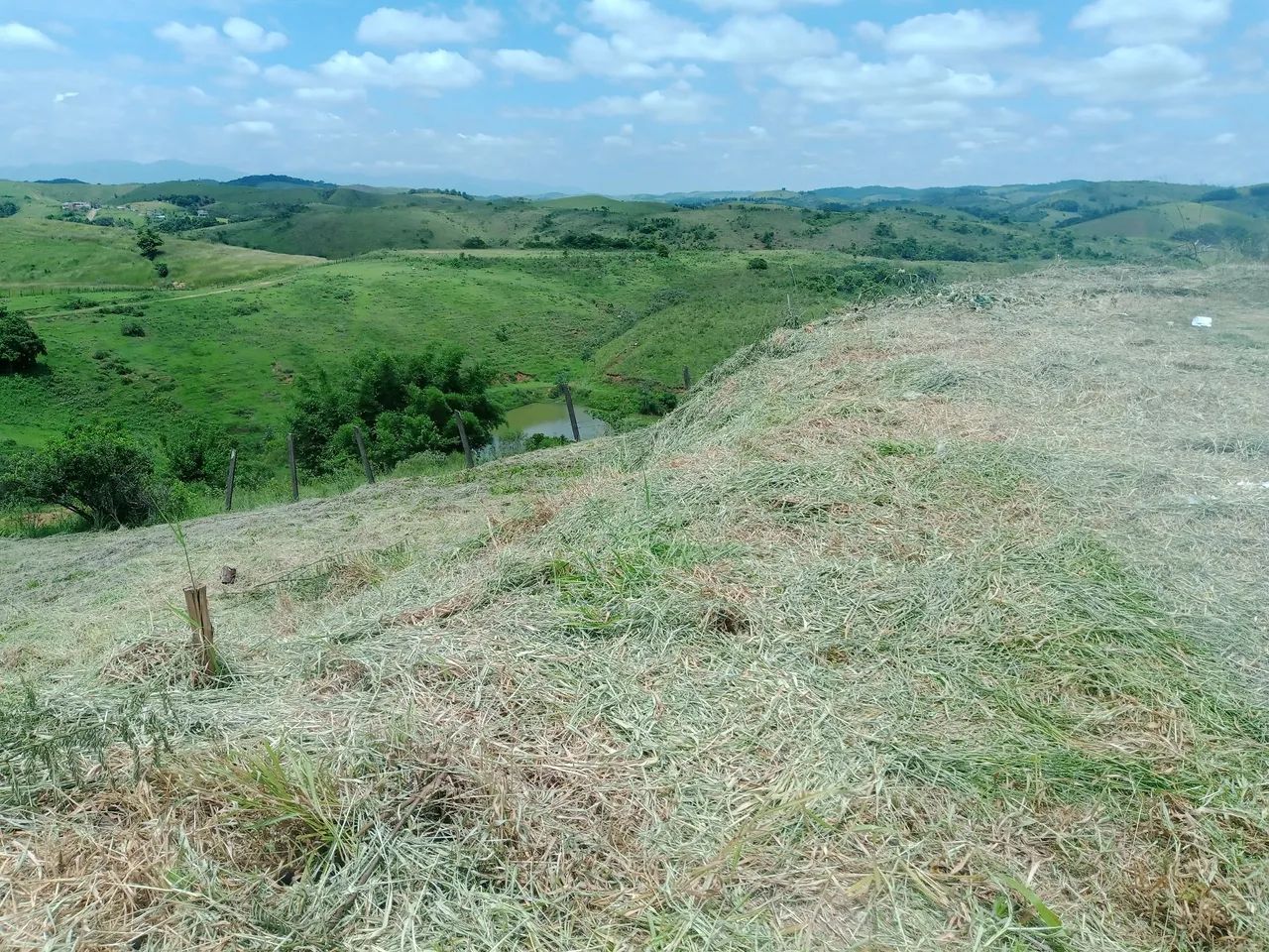 Serviços com roçadeira e motoserra. - Foto 3