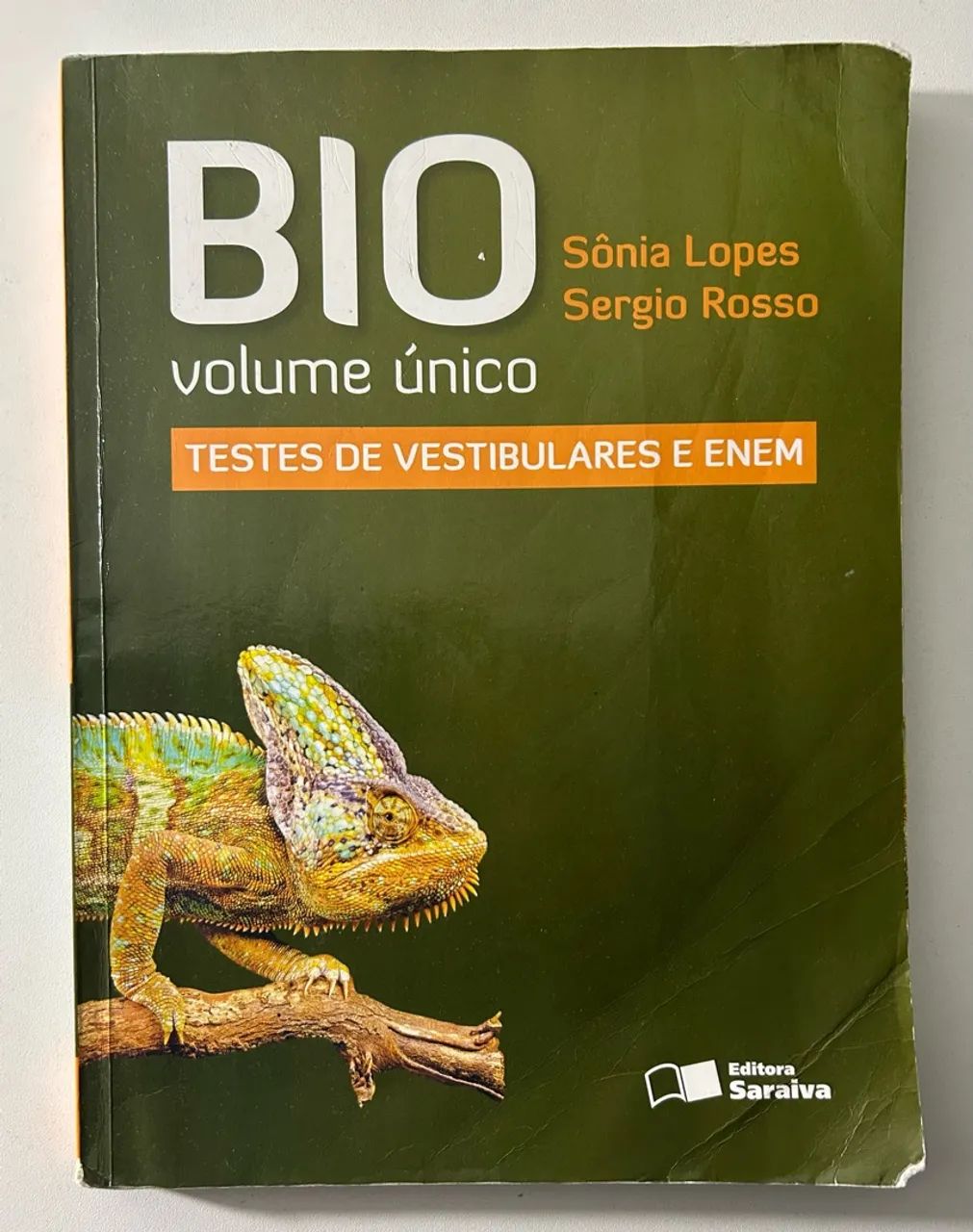 BIO - Sônia Lopes e Sergio Rosso - Foto 3