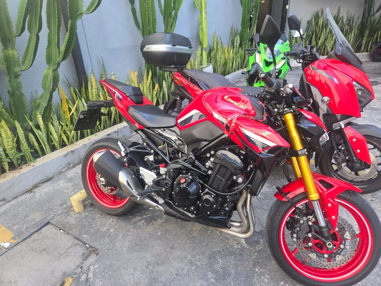 Z 900