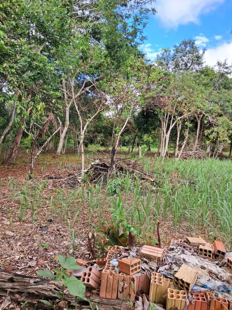 Sítio Ramal 104 km Sentido Humaitá  - Foto 5