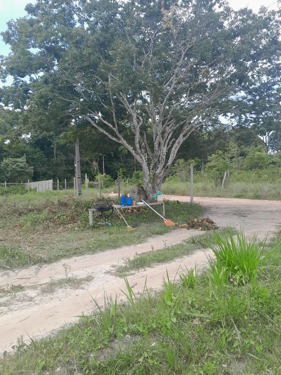 Vendo este terreno leia o anúncio  - Foto 2