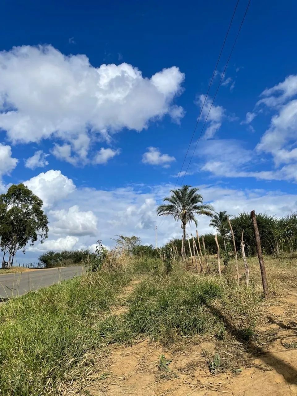 26 TAREFA EM IRAJUBA - Foto 3