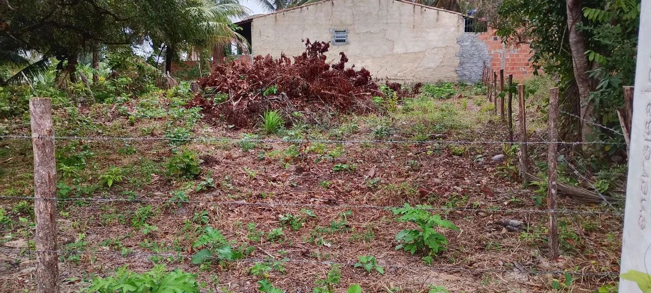 Lote na Lagoa Redonda - Foto 3