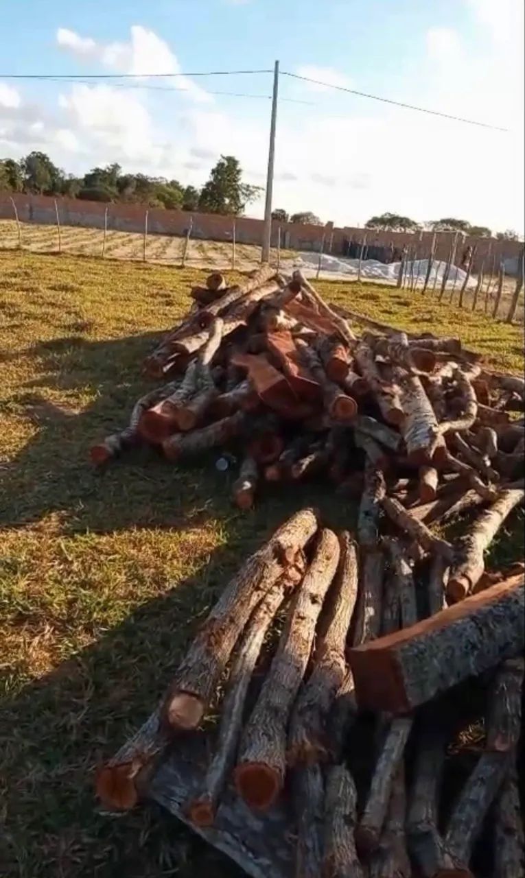 Fazenda Penedo  - Foto 3