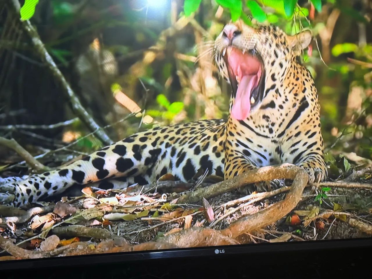 Tv led Smartv 43 polegadas 4k LG exelente Wi-Fi Bluetooth YouTube Netflix entrego local  - Foto 4