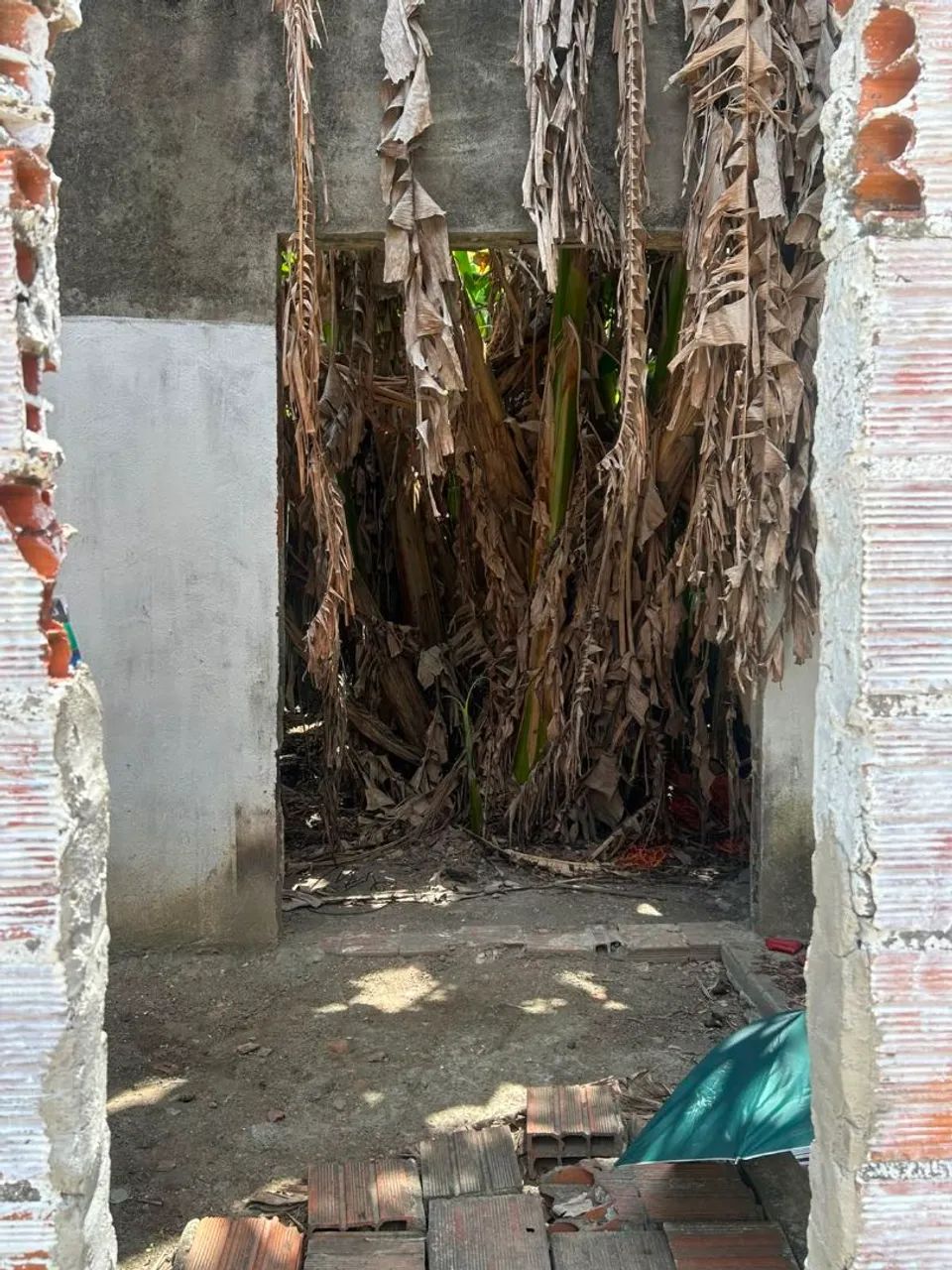 Terreno perfeito para uma boa casa - Foto 2