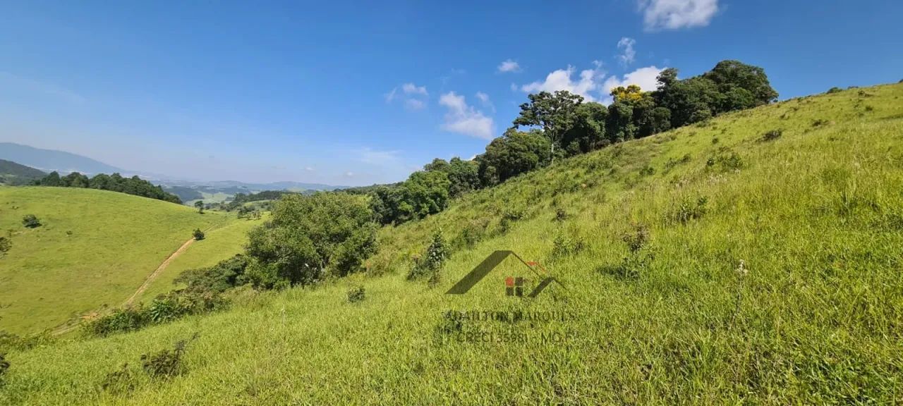 Terreno em Itapeva-MG com 20 mil metros . - Foto 4