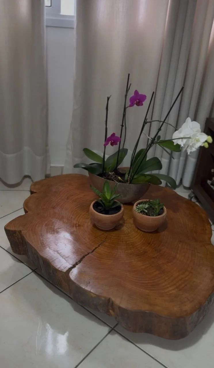 MESA DE CENTRO  TRONCO DE ÁRVORE - Foto 2