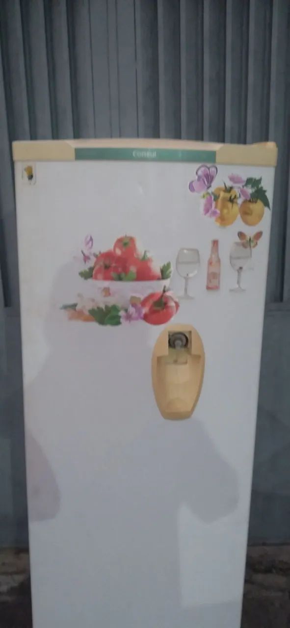 Geladeira  Cônsul  254 L - Foto 4