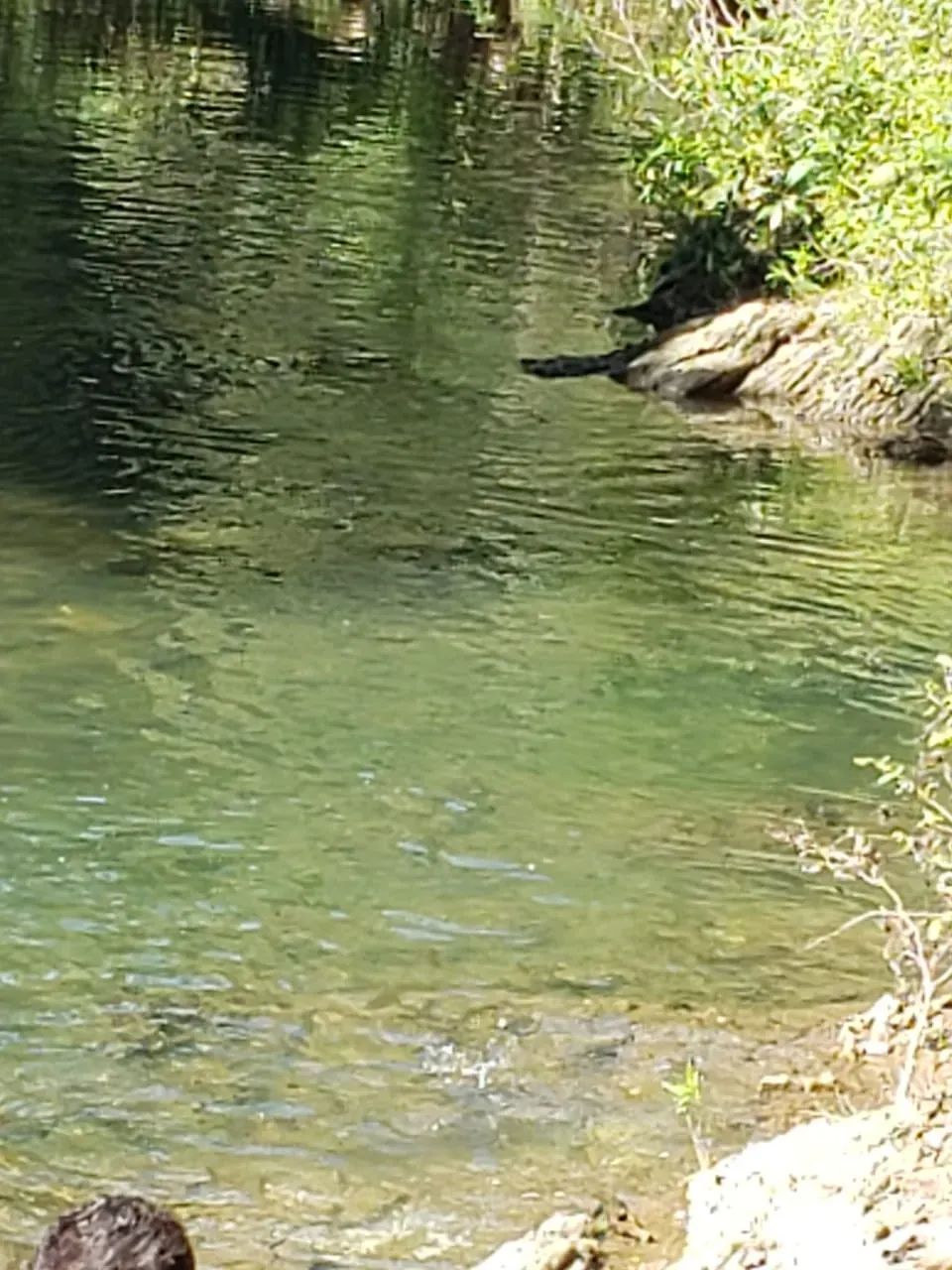 Chácara em Bonito com 4ha com 100m de rio Mimoso - Foto 2