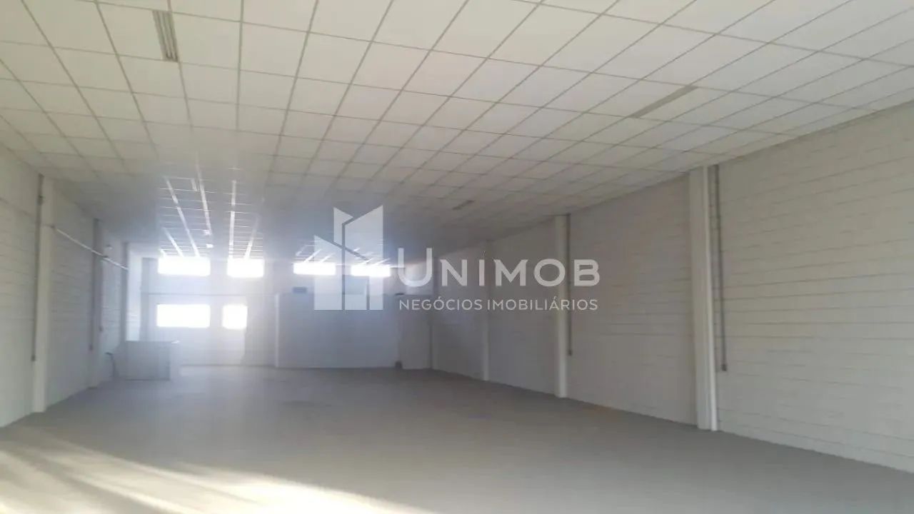 galpão - Vila Mimosa - Campinas