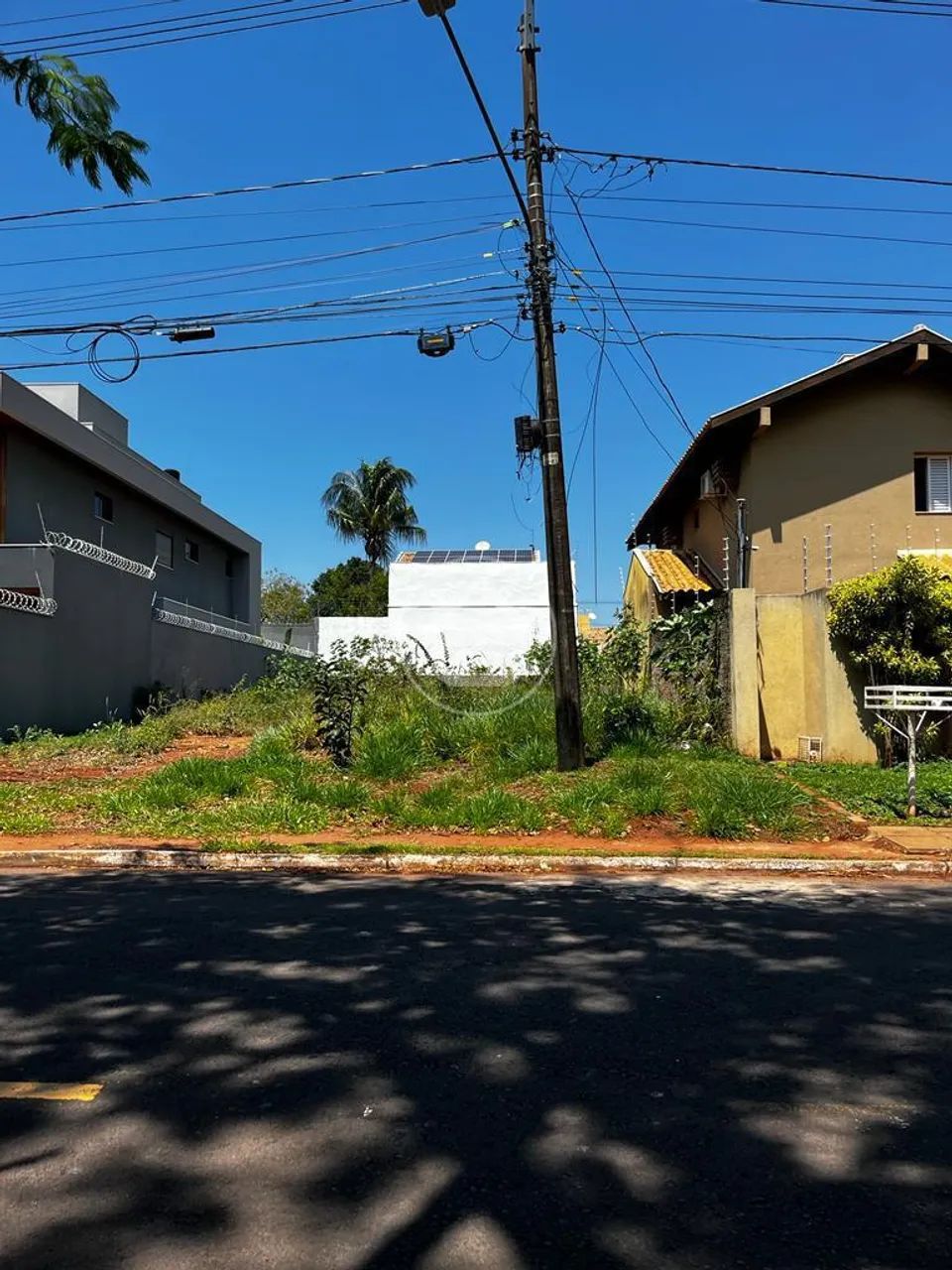 TERRENO - CIDADE JARDIM - Foto 4