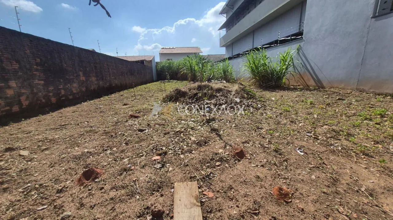 terreno - Jardim dos Oliveiras - Campinas - Foto 5