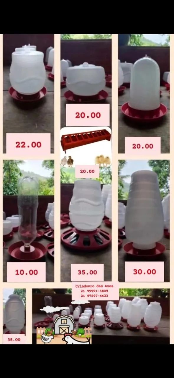 Mini Marrecos - Foto 4
