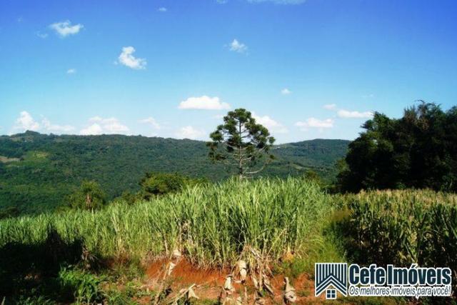 Área de terras com 11.15 hectares em Pinhal Alto - Nova Petrópolis / RS - Foto 7