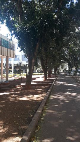 CLN 308! Quitinete barata! - Foto 4